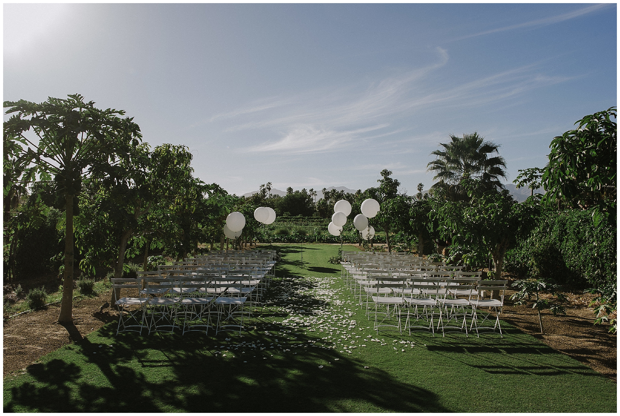 A stunning ceremony area at Flora Farms was the perfect setting for a beautiful Cabo wedding