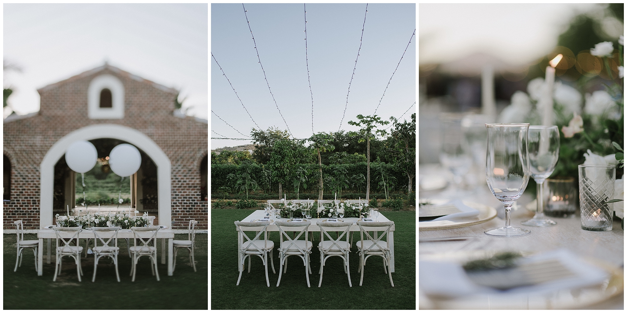 A beautiful Cabo wedding reception at Flora Farms 