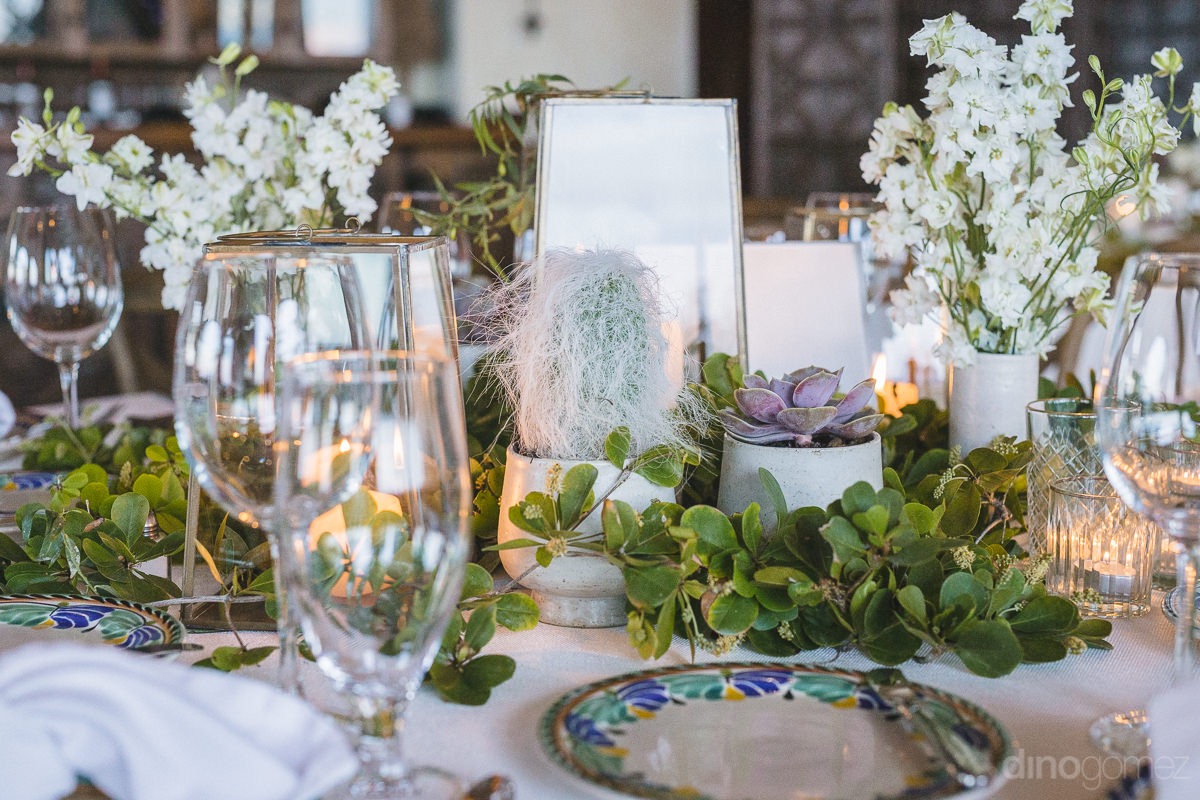 white and green succulents Cabo del Sol wedding table design