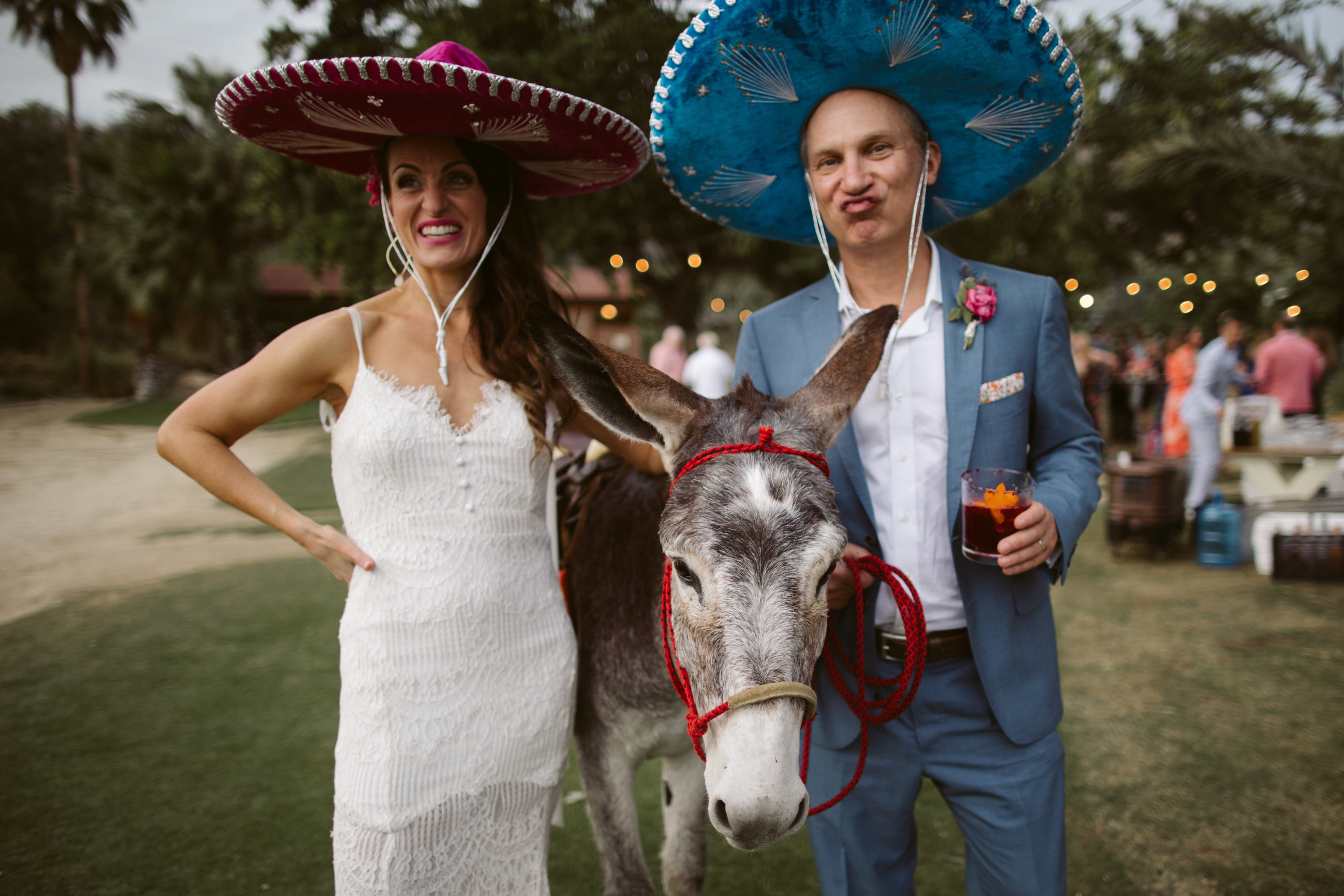 a friendly donkey arrives at a Mexican themed wedding